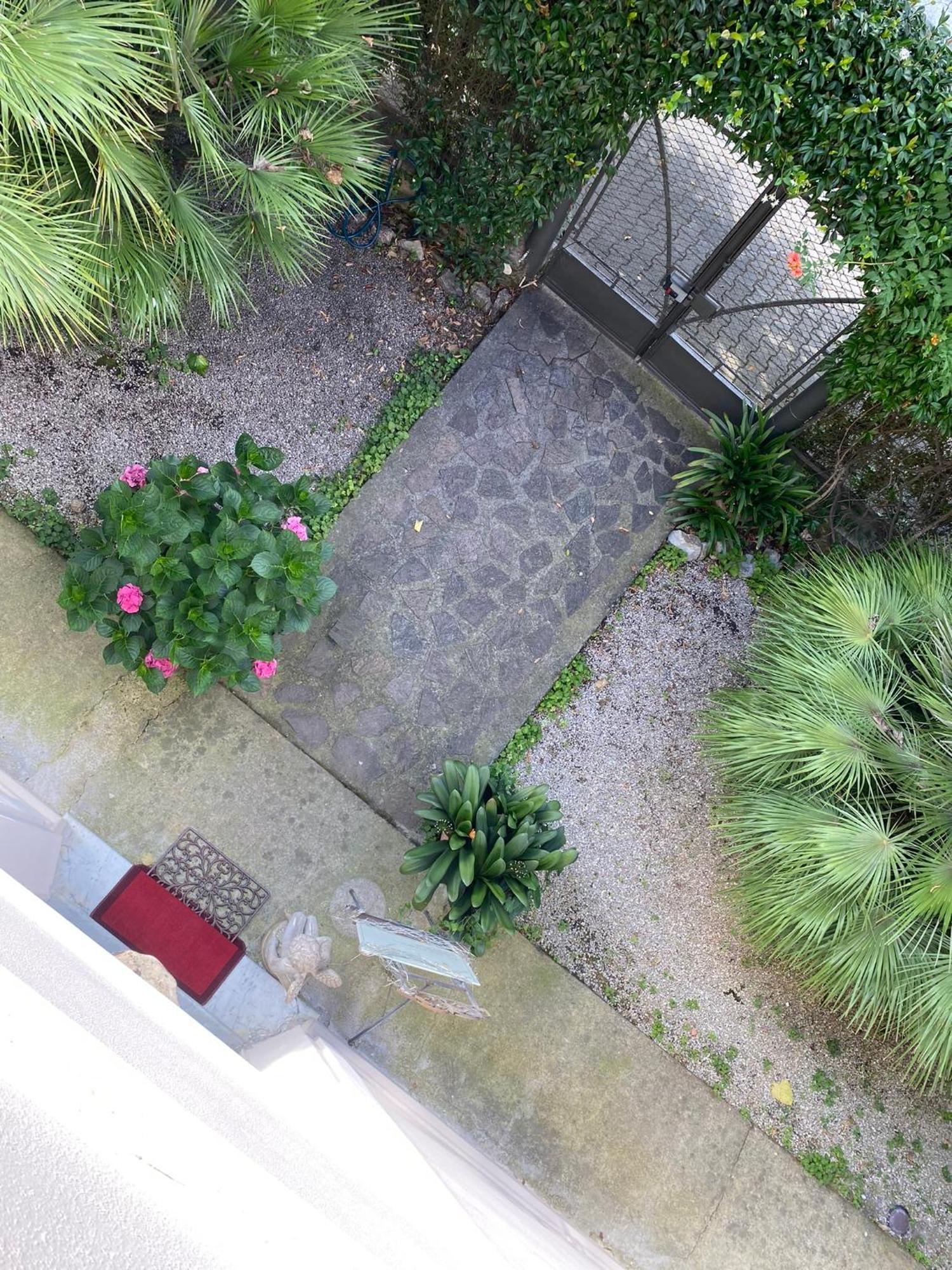 Casa Simonetti Bed & Breakfast Torre del Lago Puccini Exterior photo