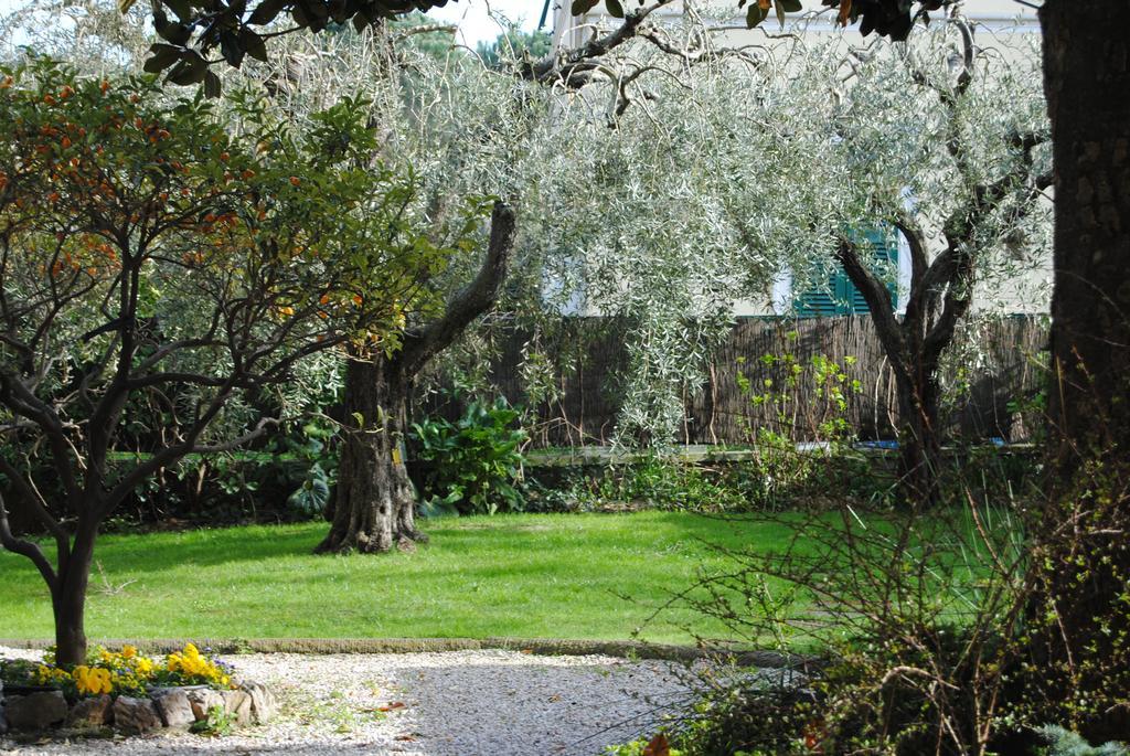 Casa Simonetti Bed & Breakfast Torre del Lago Puccini Exterior photo
